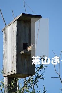 萧山违法处理 萧山违法处理