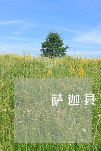 萨迦县法律咨询 萨迦县法律咨询