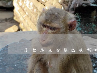 落地签证逾期出境影响 落地签证逾期出境影响