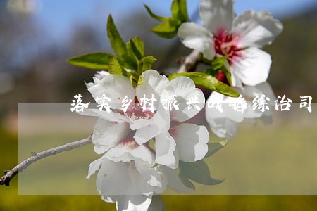 落实乡村振兴战略综治司法 落实乡村振兴战略综治司法