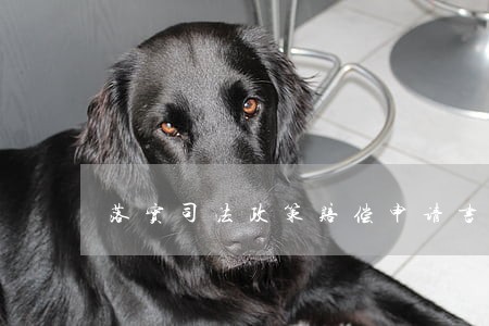 落实司法政策赔偿申请书范文