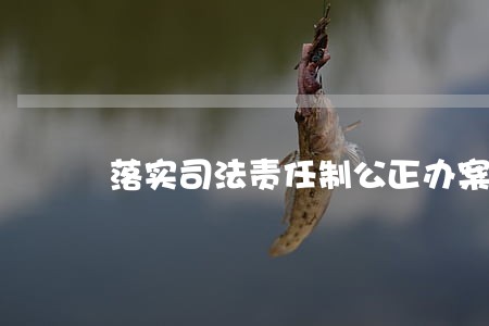 落实司法责任制公正办案 落实司法责任制公正办案