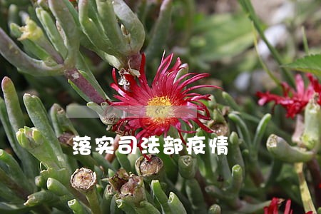 落实司法部疫情 落实司法部疫情