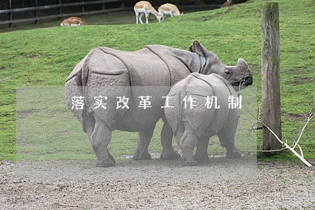 落实改革工作机制 落实改革工作机制