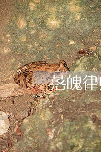 落魄律师的转折点 落魄律师的转折点