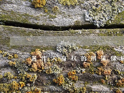 著作人身权的刑法保护 著作人身权的刑法保护
