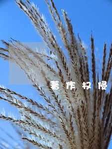 著作权侵权的诉讼主体怎么规定的 著作权侵权的诉讼主体怎么规定的