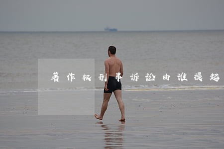 著作权刑事诉讼由谁提起诉讼 著作权刑事诉讼由谁提起诉讼