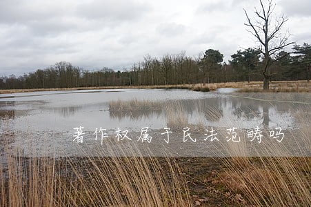 著作权属于民法范畴吗