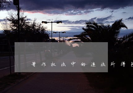 著作权法中的违法所得包括哪些 著作权法中的违法所得包括哪些