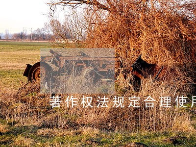 著作权法规定合理使用包括 著作权法规定合理使用包括