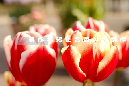 著作权转让合同纠纷案件 著作权转让合同纠纷案件