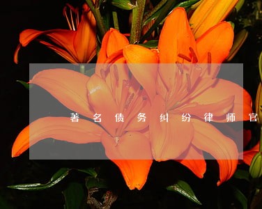 著名债务纠纷律师官司 著名债务纠纷律师官司