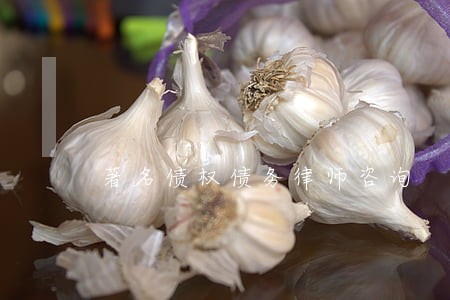 著名债权债务律师咨询 著名债权债务律师咨询