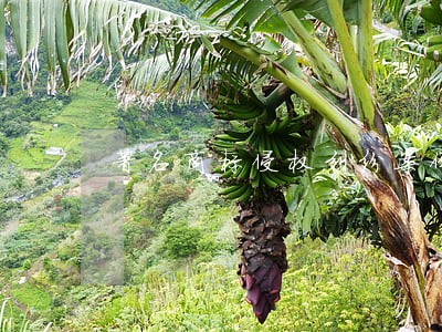 著名商标侵权纠纷案例 著名商标侵权纠纷案例