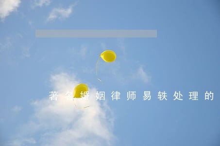 著名婚姻律师易轶处理的案子 著名婚姻律师易轶处理的案子