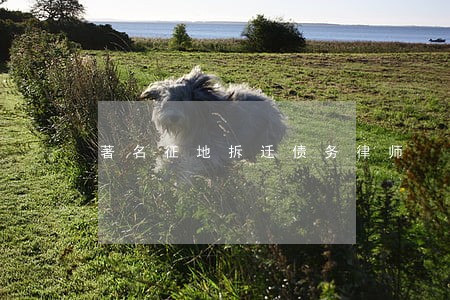 著名征地拆迁债务律师 著名征地拆迁债务律师