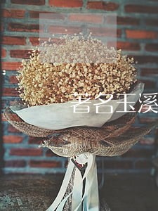 著名玉溪刑事律师在线免费咨询
