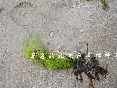 著名的北京刑事律师事务所 著名的北京刑事律师事务所
