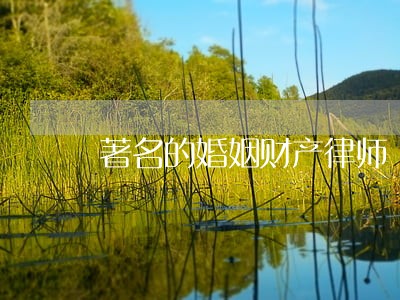 著名的婚姻财产律师