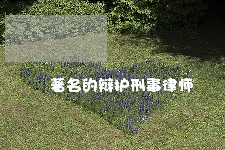著名的辩护刑事律师 著名的辩护刑事律师