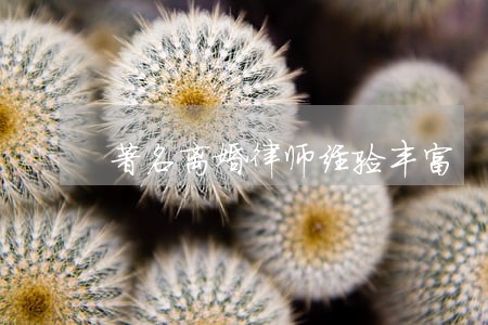 著名离婚律师经验丰富 著名离婚律师经验丰富