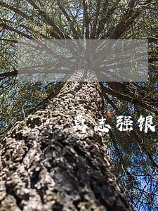葛志强银行有没有逾期 葛志强银行有没有逾期