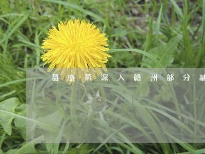 葛晓燕深入赣州部分基层法院调研 葛晓燕深入赣州部分基层法院调研