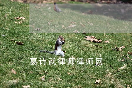 葛诗武律师律师网 葛诗武律师律师网