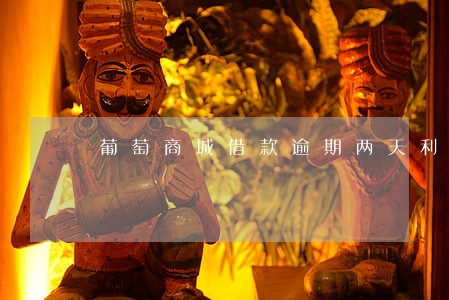 葡萄商城借款逾期两天利息多少