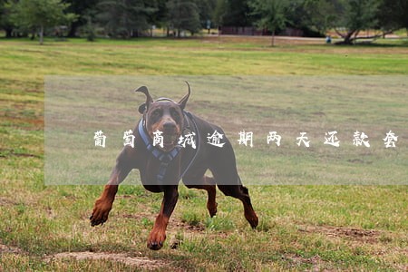 葡萄商城逾期两天还款套路吗 葡萄商城逾期两天还款套路吗