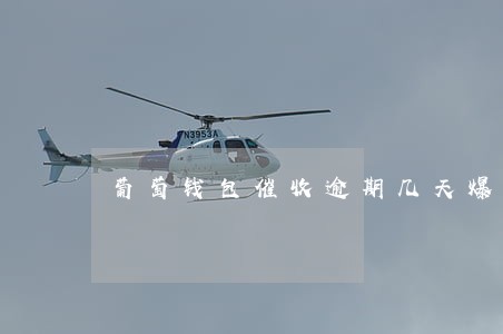 葡萄钱包催收逾期几天爆通讯录 葡萄钱包催收逾期几天爆通讯录