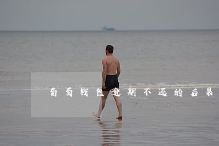 葡萄钱包逾期不还的后果 葡萄钱包逾期不还的后果