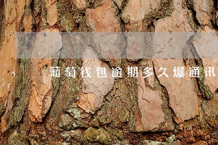 葡萄钱包逾期多久爆通讯录