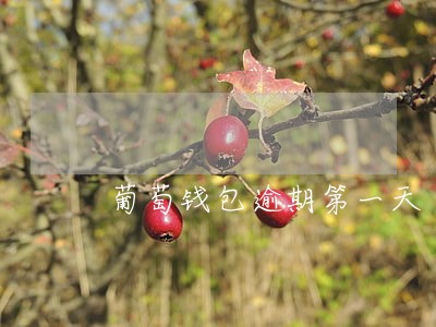 葡萄钱包逾期第一天 葡萄钱包逾期第一天