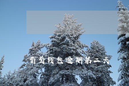 葡萄钱包逾期第二天 葡萄钱包逾期第二天