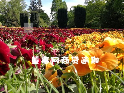 董事网商贷逾期 董事网商贷逾期