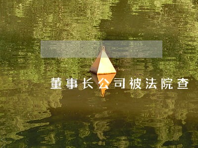 董事长公司被法院查 董事长公司被法院查