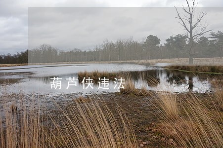 葫芦侠违法 葫芦侠违法