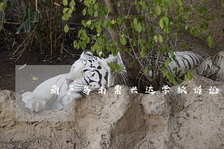 葫芦岛南票兴达学校诉讼 葫芦岛南票兴达学校诉讼