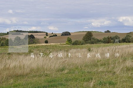 葫芦岛娱乐法在线律师 葫芦岛娱乐法在线律师