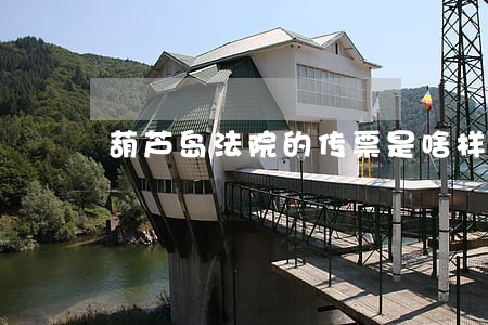 葫芦岛法院的传票是啥样子的 葫芦岛法院的传票是啥样子的