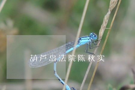 葫芦岛法院陈秋实 葫芦岛法院陈秋实