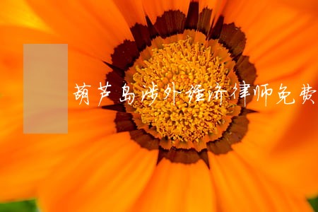 葫芦岛涉外经济律师免费在线咨询 葫芦岛涉外经济律师免费在线咨询