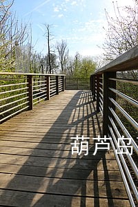 葫芦岛离婚律师事务所 葫芦岛离婚律师事务所