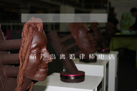 葫芦岛离婚律师电话 葫芦岛离婚律师电话