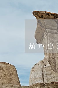 葫芦岛连山法院关波