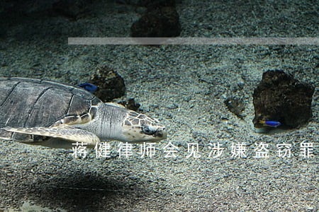 蒋健律师会见涉嫌盗窃罪的z某 蒋健律师会见涉嫌盗窃罪的z某