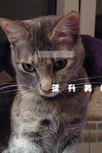 蒋升美团金融逾期 蒋升美团金融逾期