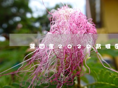 蒋四金2020背推图刑法